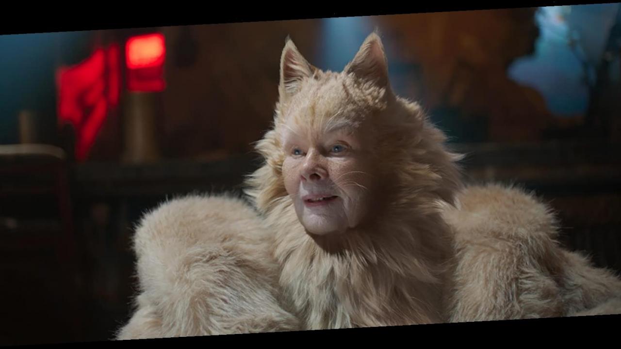 judi dench cats