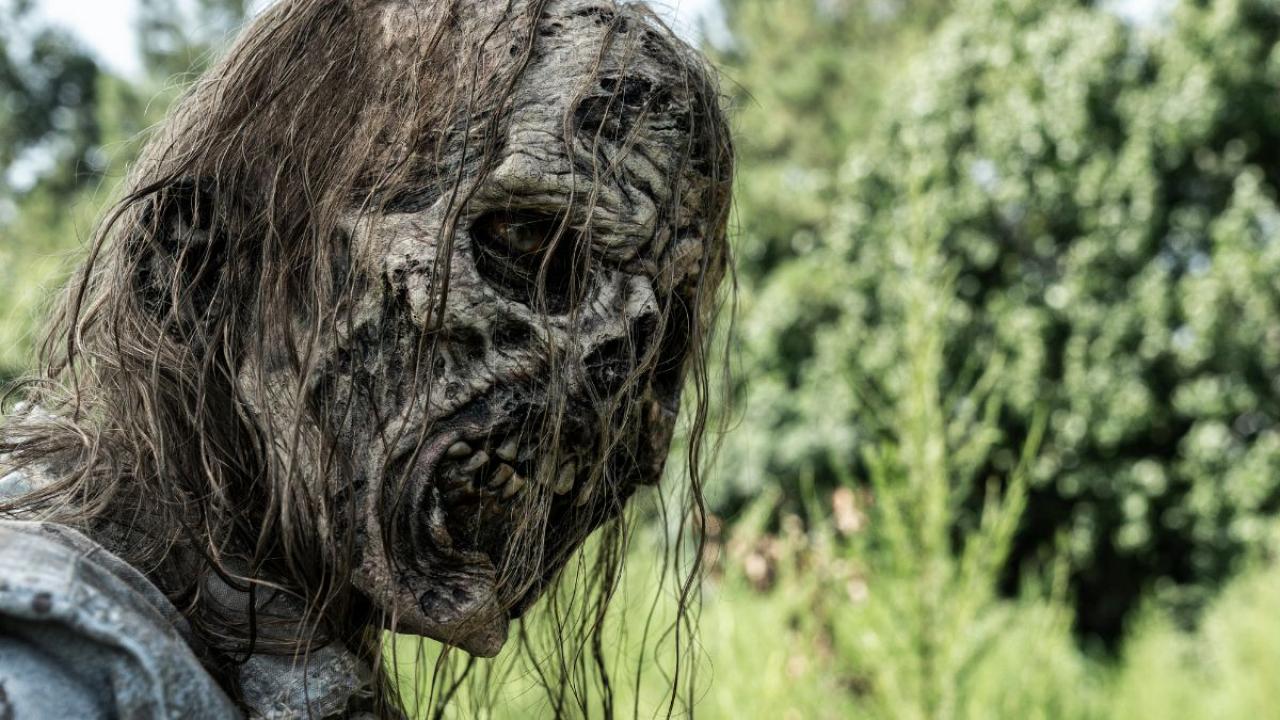 walking dead saison 11 zombie