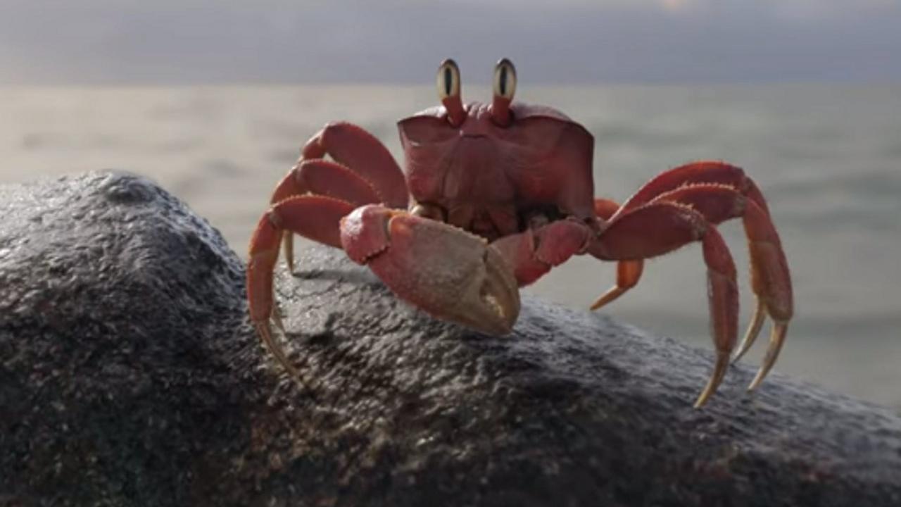 Sebastien le crabe La Petite Sirène
