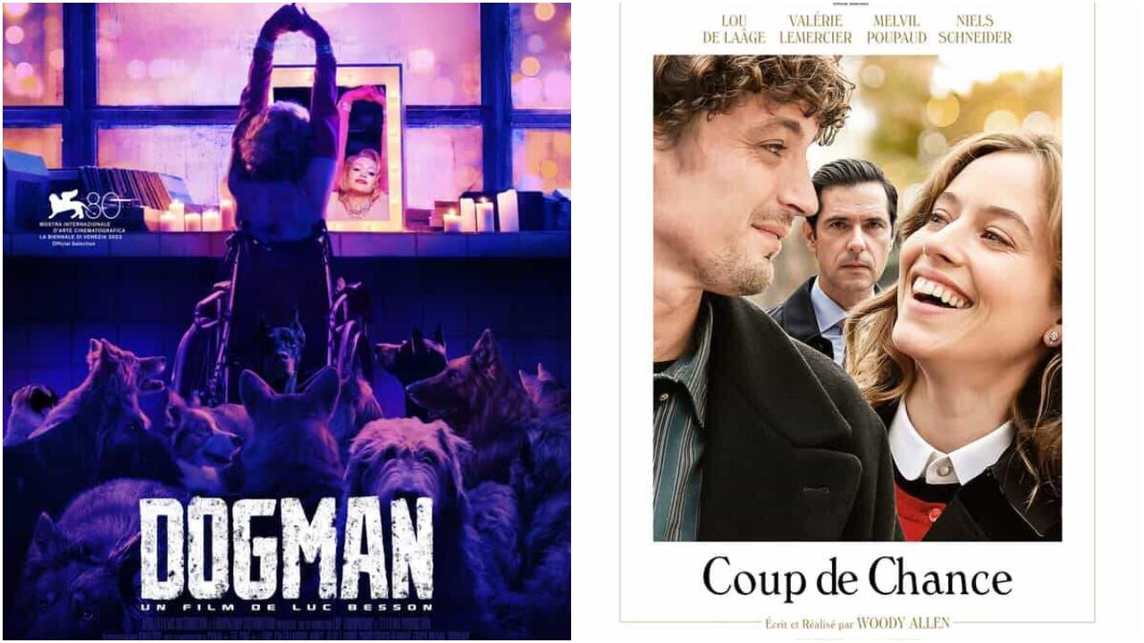 Dogman et Coup de Chance font un faux départ au BO