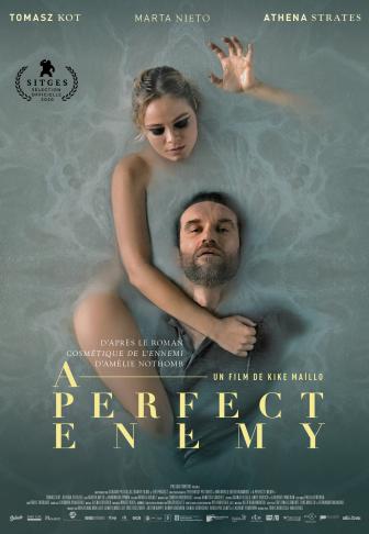 A Perfect Enemy Affiche