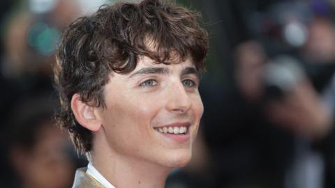 Cannes 2021 : Timothée Chalamet tout souriant pour The French Dispatch