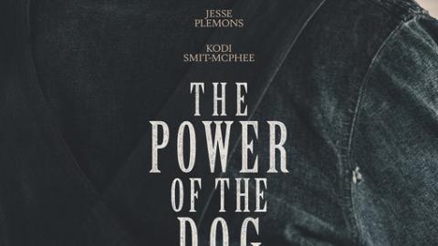 The Power of the Dog affiche