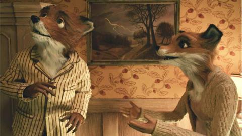 Fantastic Mr. Fox : comment reconnaître un film de Wes Anderson ?