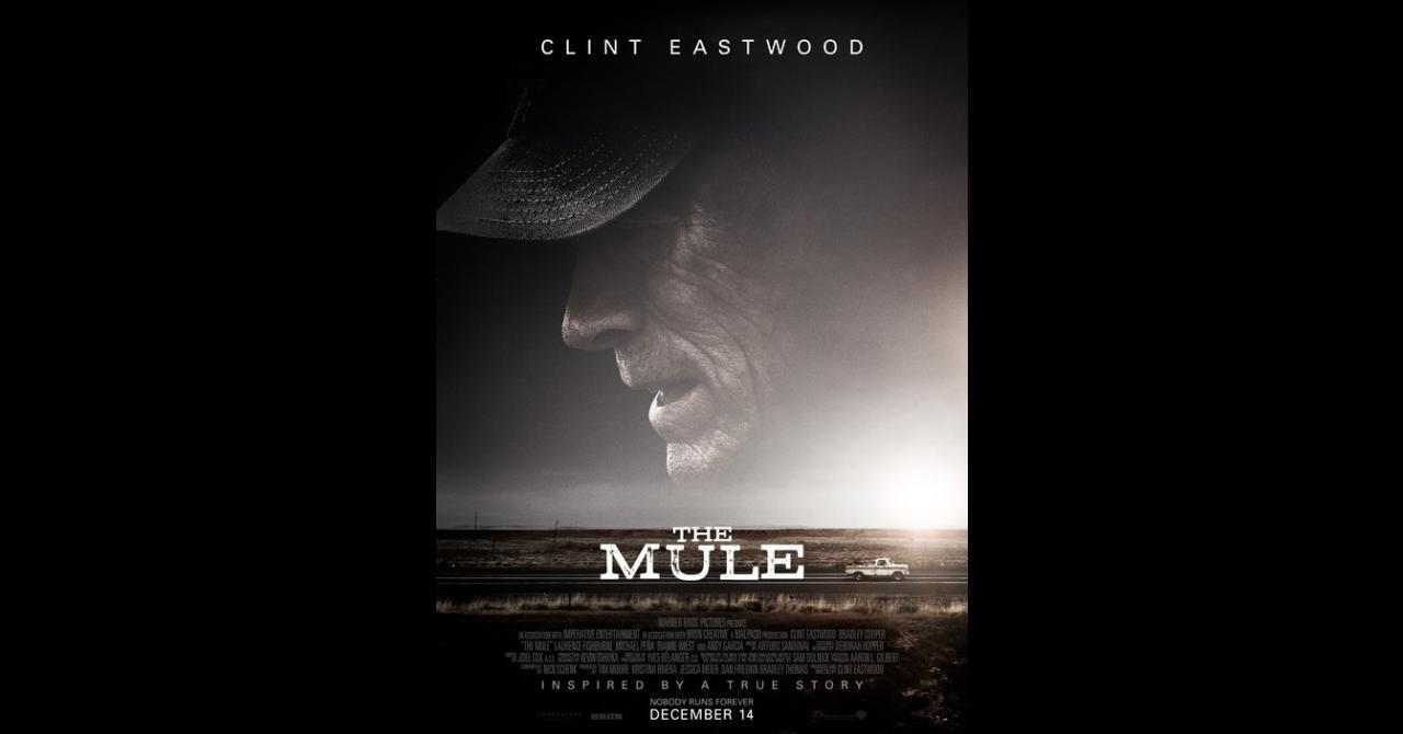 The Mule