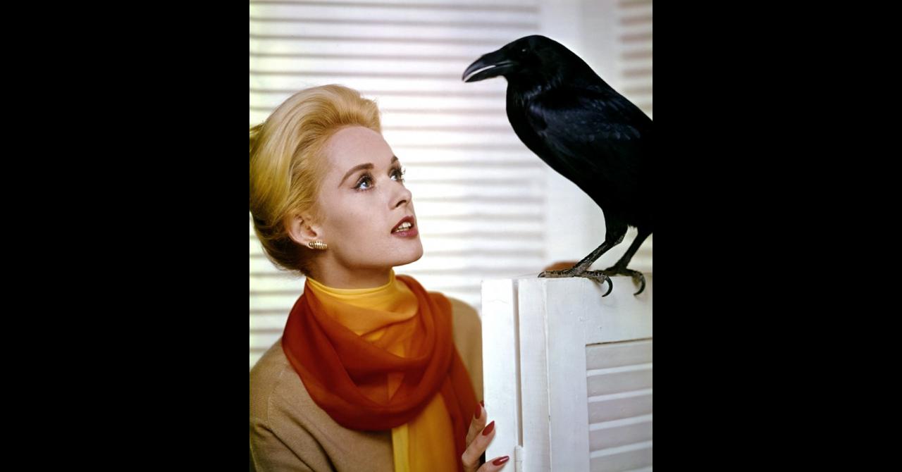 Tippi Hedren participe à un photocall pour promouvoir Les Oiseaux, en 1963
