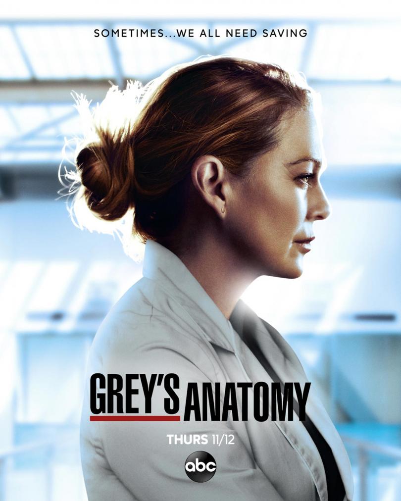 Grey's poster saison 17