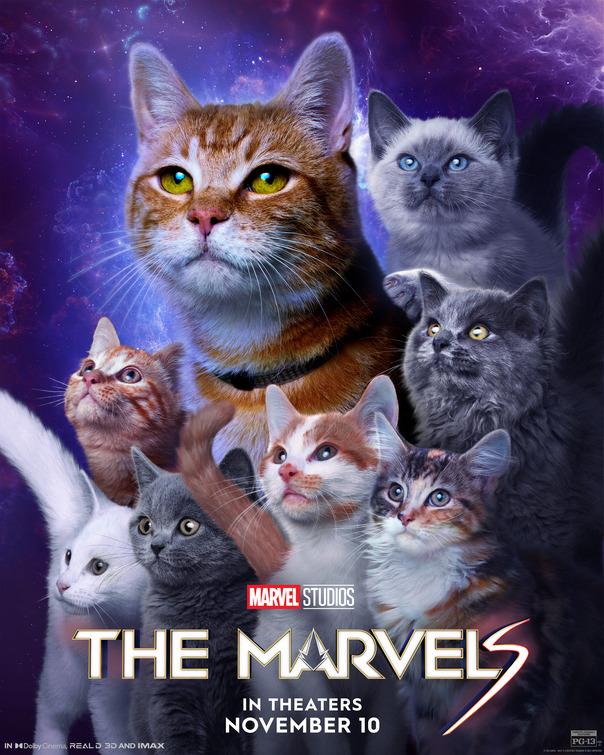 The Marvels affiche alternative chats 